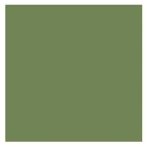 Avocado Solid Cardstock