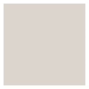 Beige Solid Cardstock