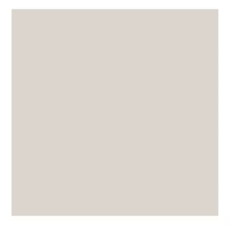 Beige Solid Cardstock