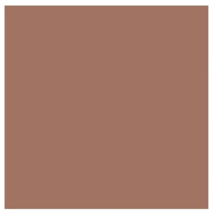 Carmel Solid Cardstock