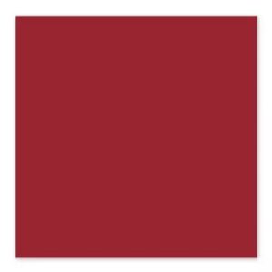 Cranberry Solid Cardstock
