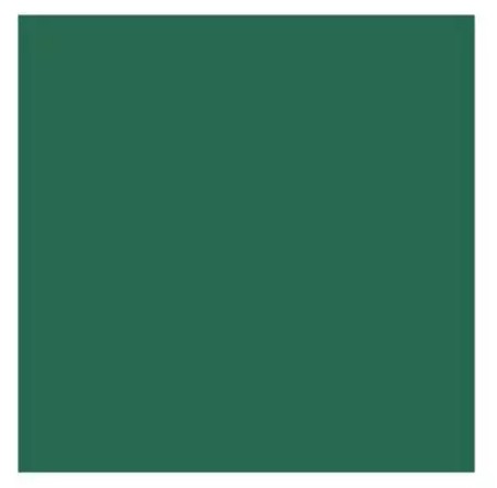 Dark Green Solid Cardstock