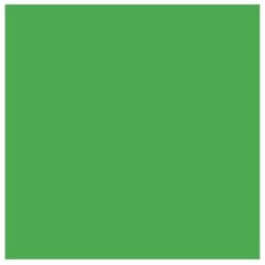 Kelly Green Solid Cardstock