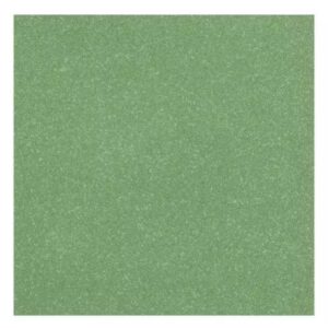 Parakeet Shimmer Cardstock