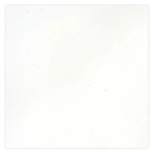 Stardust White Cardstock