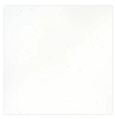 Stardust White Cardstock