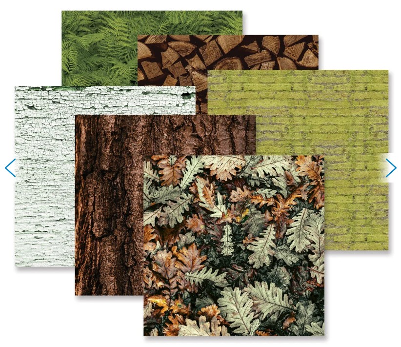 Deeper into the Woods Designer Paper Pack